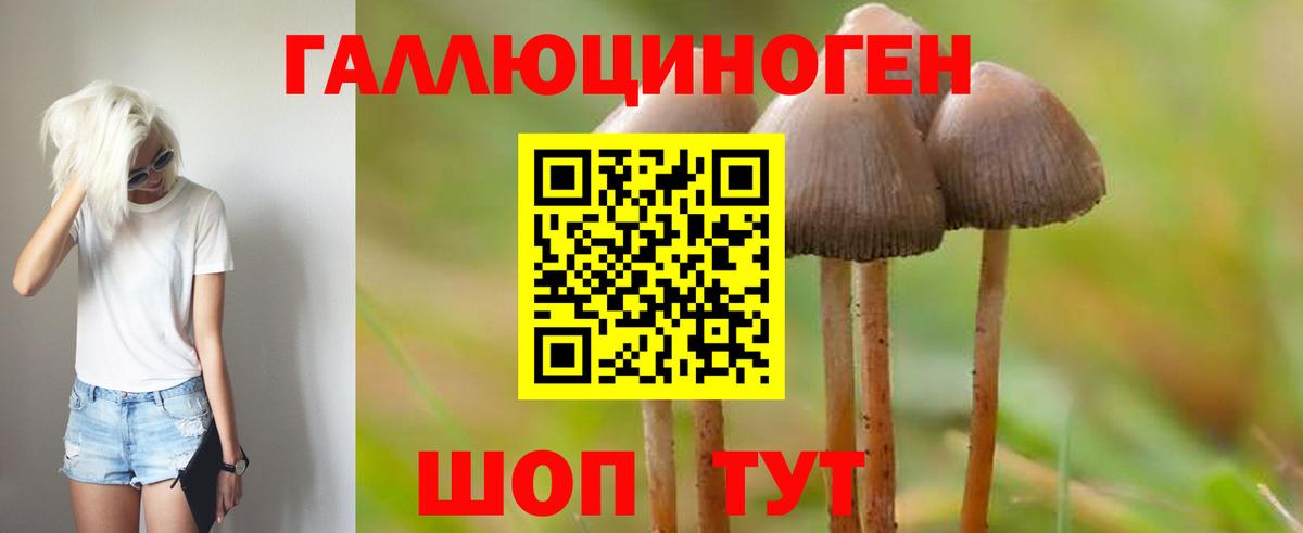 Галлюциногенные грибы Cubensis  Вход с VPN  Городец 
